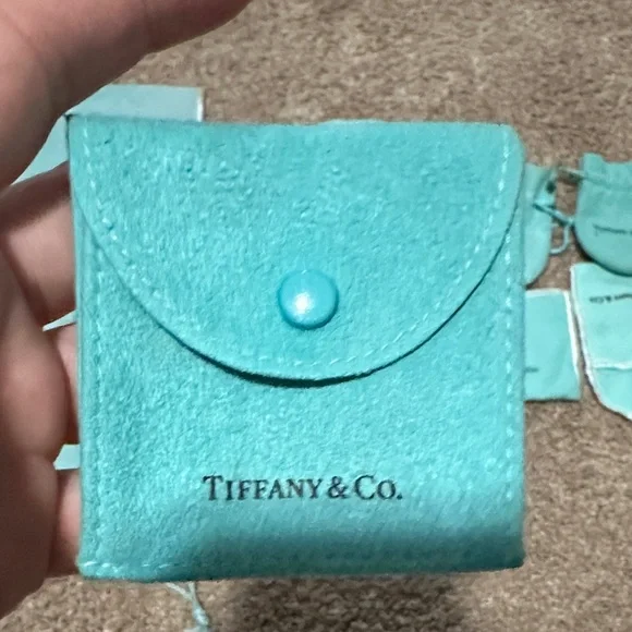 Tiffany & Co. Turquoise Pouch Collection - Picture 5 of 16